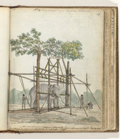 Elefantenstall von Jan Brandes