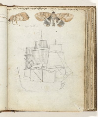 Schmetterling und Schiff von Jan Brandes