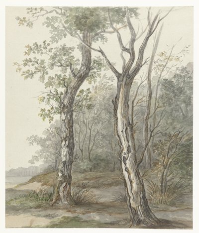 Waldlandschaft von Jan Dasveldt