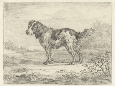 Spaniel stehend in einer Landschaft von Jan Dasveldt