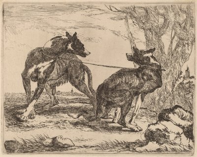 Zwei Windhunde, an der Leine und einander zugewandt von Jan Fyt