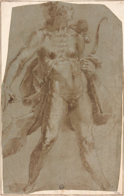 Apollo von Jan Harmensz. Muller