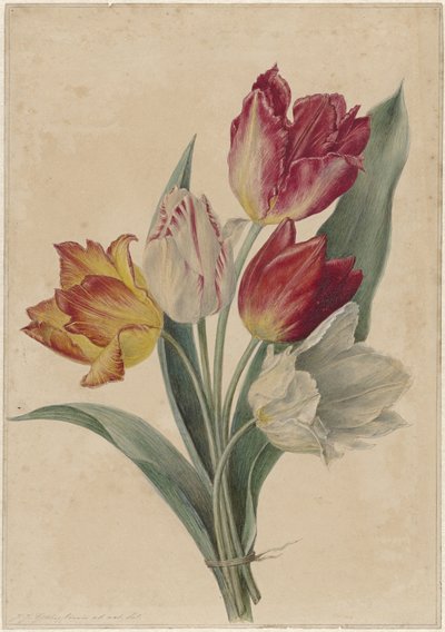 Tulpenstrauß von Jan Jacob Goteling Vinnis