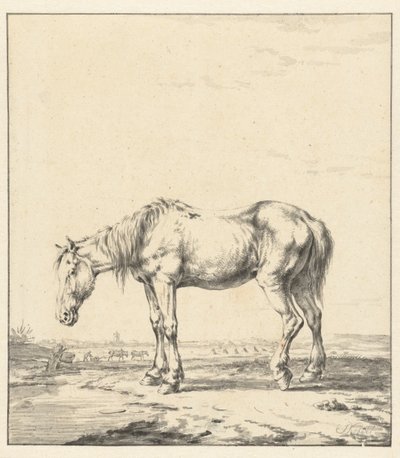 Altes Pferd steht am Wasser von Jan Kobell (II)