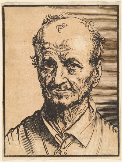 Büste eines kahlen Mannes von Jan Lievens