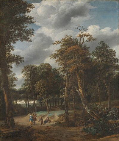 Waldweg von Jan Looten