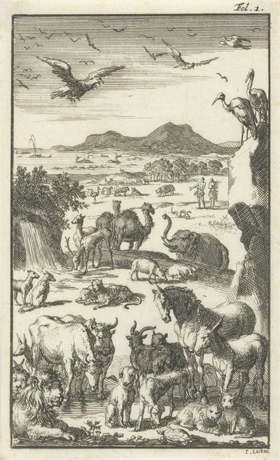 Die Schöpfung von Jan Luyken