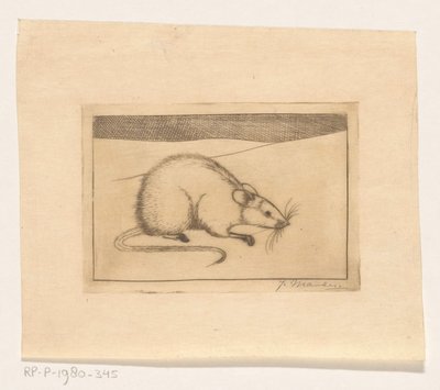 Maus von Jan Mankes (signed by artist)