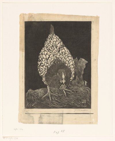Silberwyandotte von Jan Mankes (signed by artist)
