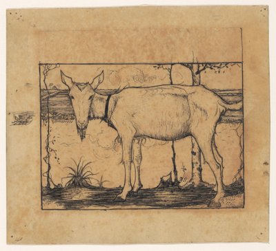 Ziege am Grabenrand von Jan Mankes
