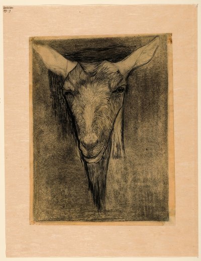 Kopf einer Ziege von Jan Mankes