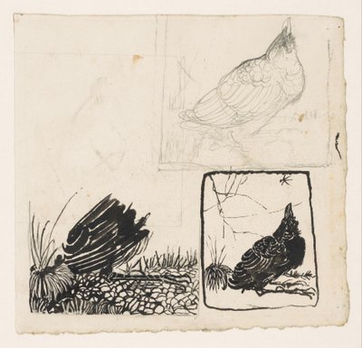 Krähe, die zu einem Mückchen hinaufschaut von Jan Mankes