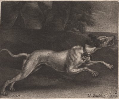 Ein laufender Hund von Jan Verkolje