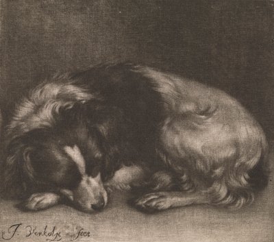 Ein schlafender Hund von Jan Verkolje