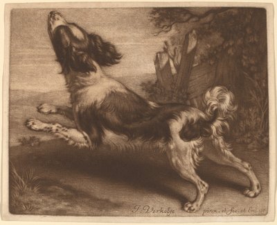 Ein Springer von Jan Verkolje I