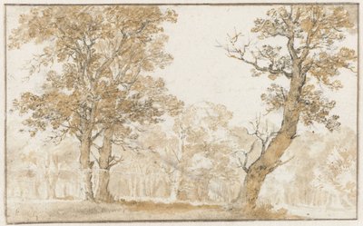 Haagse Bos von Jan de Bisschop