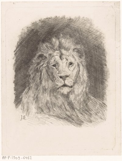 Kopf eines Löwen von Jan van Essen