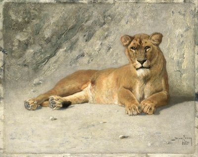 Ruhende Löwin von Jan van Essen