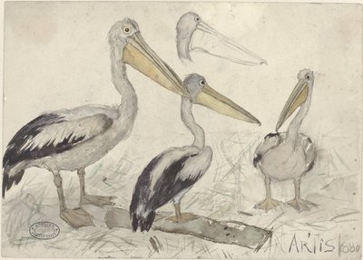 Pelikanen im Artis Zoo von Jan van Essen