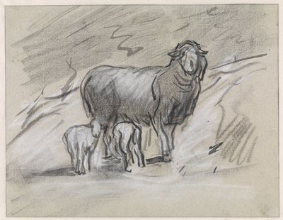Schaf mit zwei Lämmern von Jan van Essen