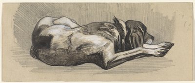 Schlafender Hund, nach rechts von Jan van Essen