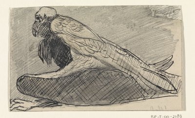 Sitzender Geier von Jan van Essen