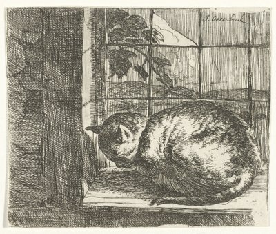 Katze im Fensterrahmen von Jan van Ossenbeeck