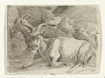 Zwei Ziegen und zwei Schafe von Jan van Ossenbeeck