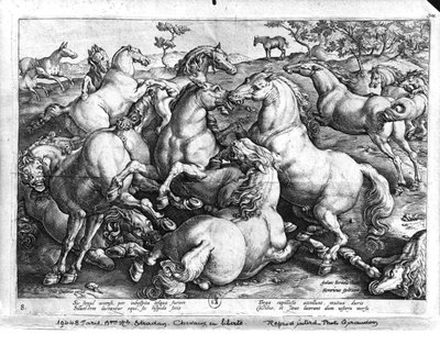 Pferde in der Wildnis von Jan van der Straet