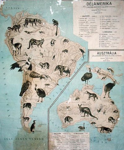 Karte der Tiere in Südamerika und Australien von Janos Balint