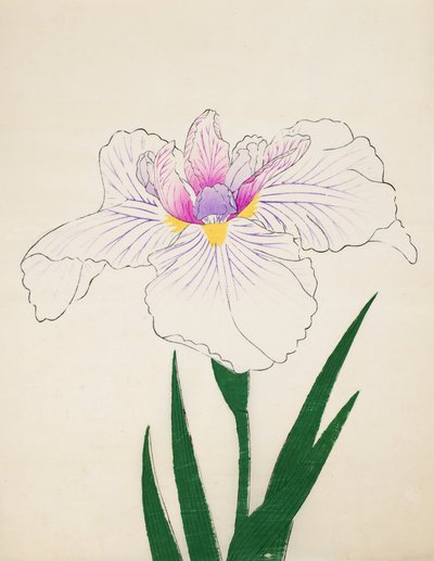 Akashi-no.-Ul, Nr. 10, 1898 von Japanese School