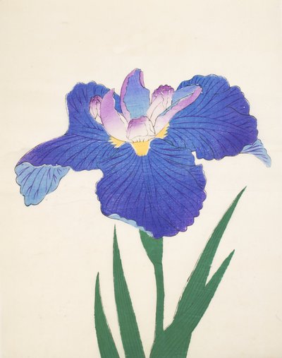 Aoi-Gata, Nr. 30, 1898 von Japanese School