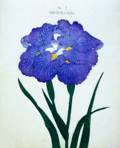 Asa-Zuma-Bune, Nr. 7, 1898 von Japanese School
