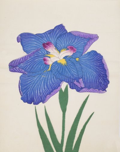 Azumabotan, Nr. 89, 1890 von Japanese School