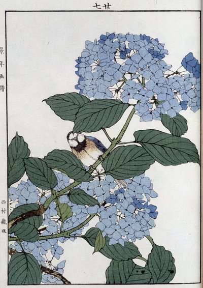 Vogel in Hortensien - Japanischer Druck von Japanese School