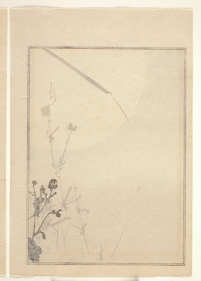 Chrysanthemen von Japanese School