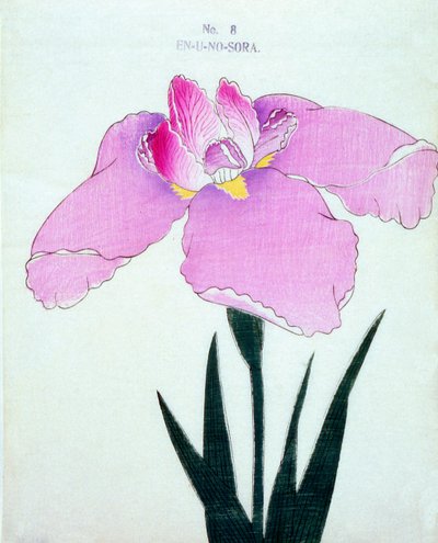 En-U-no.-Sora, Nr. 8, 1898 von Japanese School
