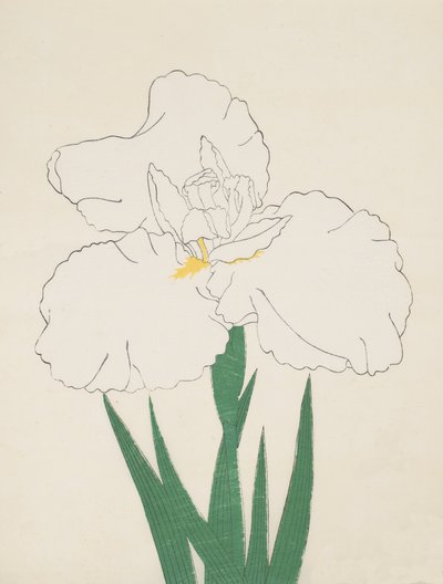 Fuji-No-Yuki, Nr. 13, 1890 von Japanese School