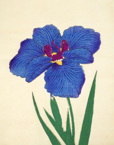 Gosetsu-no.-Mai, Nr. 9, 1898 von Japanese School