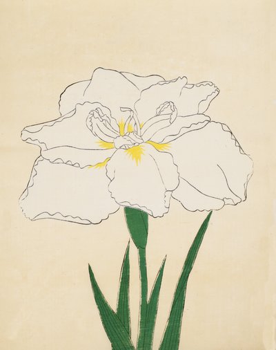 Haku-O-Den, Nr. 40, 1890 von Japanese School
