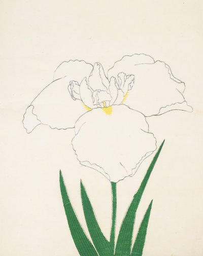 Hatsu-Shimo, Nr. 6, 1890 von Japanese School