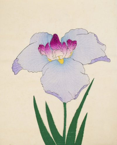 Hoshi-Zukiyo, Nr. 45, 1898 von Japanese School