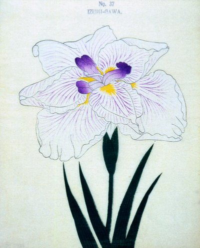 Izumi-Gawa, Nr. 37, 1898 von Japanese School