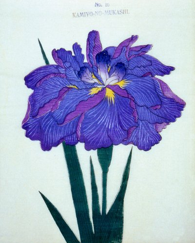 Kamiyo-no.-Mukashi, Nr. 16, 1898 von Japanese School