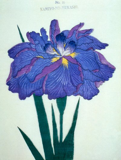 Kamiyo-no.-Mukashi, Nr. 16, 1898 von Japanese School