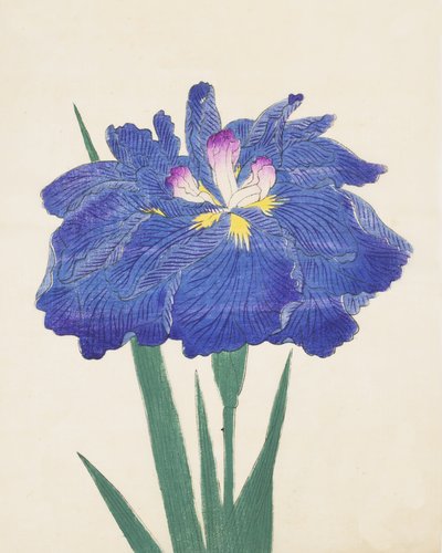 Karako-Asobi, Nr. 42, 1898 von Japanese School
