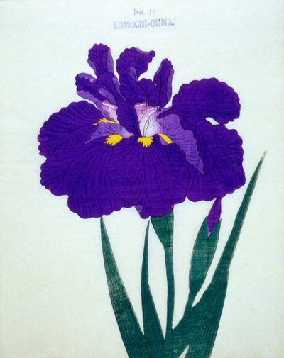 Komochi-Guma Nr. 14, 1898 von Japanese School