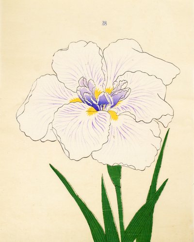 Manu-Zuru, Nr. 28, 1890 von Japanese School