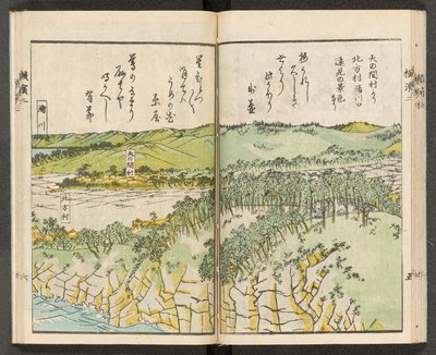 Ansichten von Yokohama von Japanese School