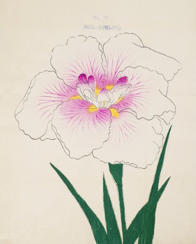 Misuji-no.-Ito, Nr. 17, 1898 von Japanese School